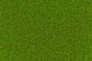 Ковролин Sommer Needlepunch Exposhow Exposhow Spring Green 9631 фото  | FLOORDEALER